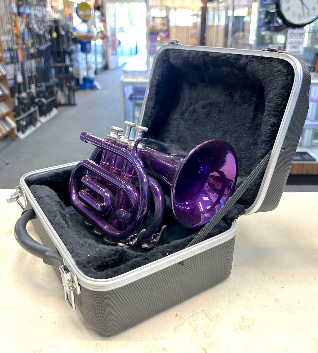Purple pocket trumpet in a gray case with a store interior in the background