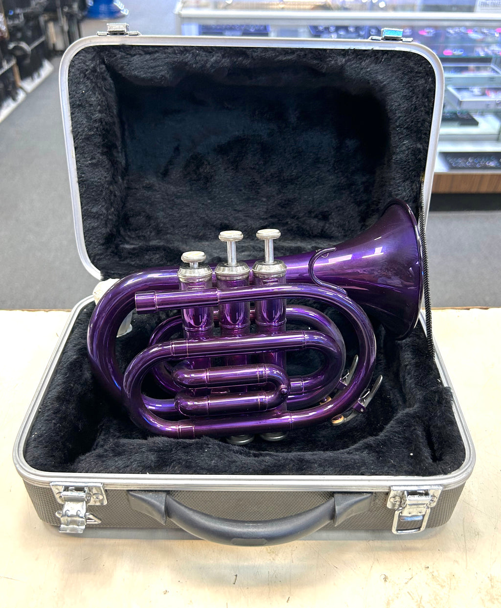 Purple travel trumpet in a case on a table