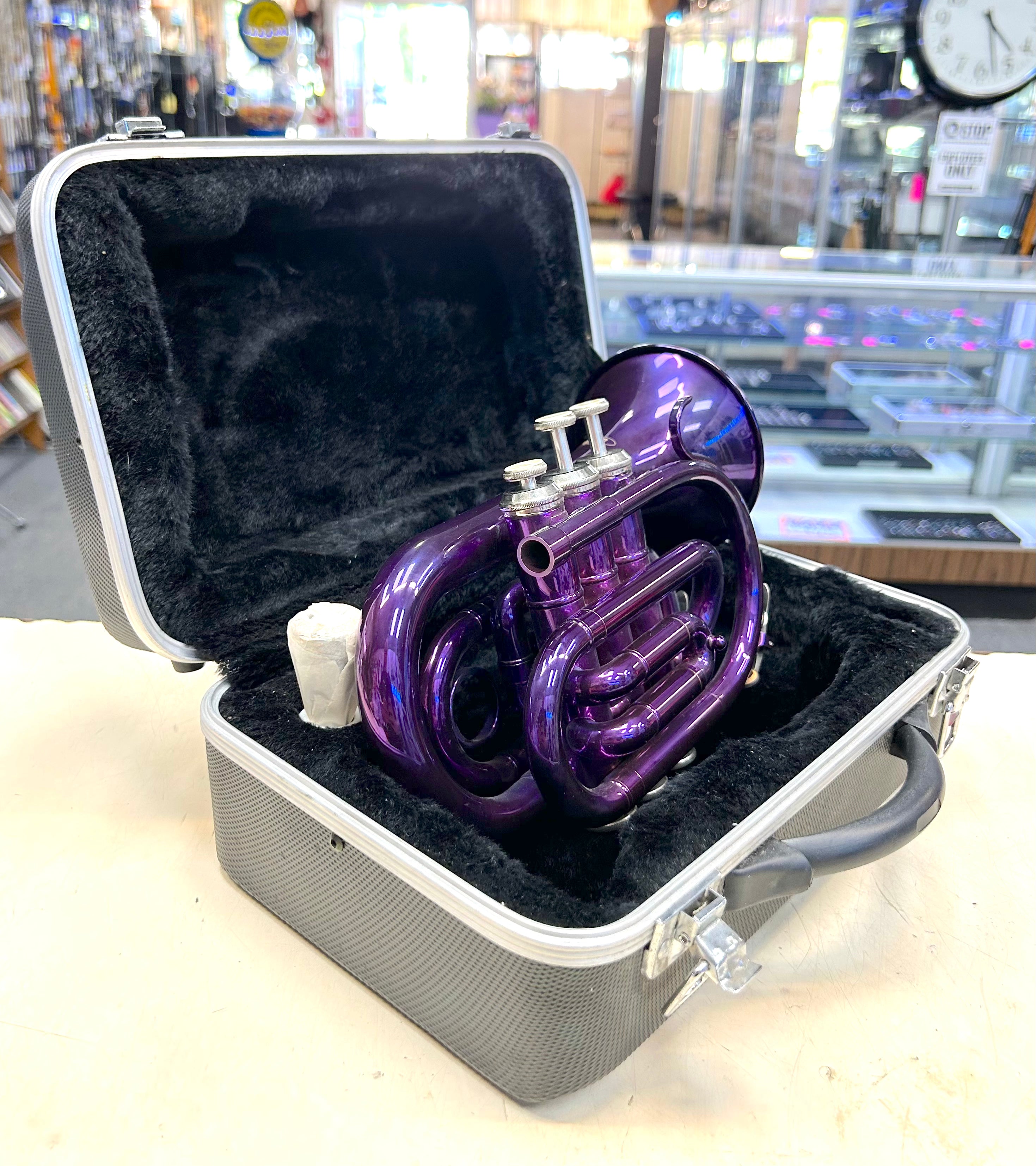 Purple cornet in a case with a store interior background
