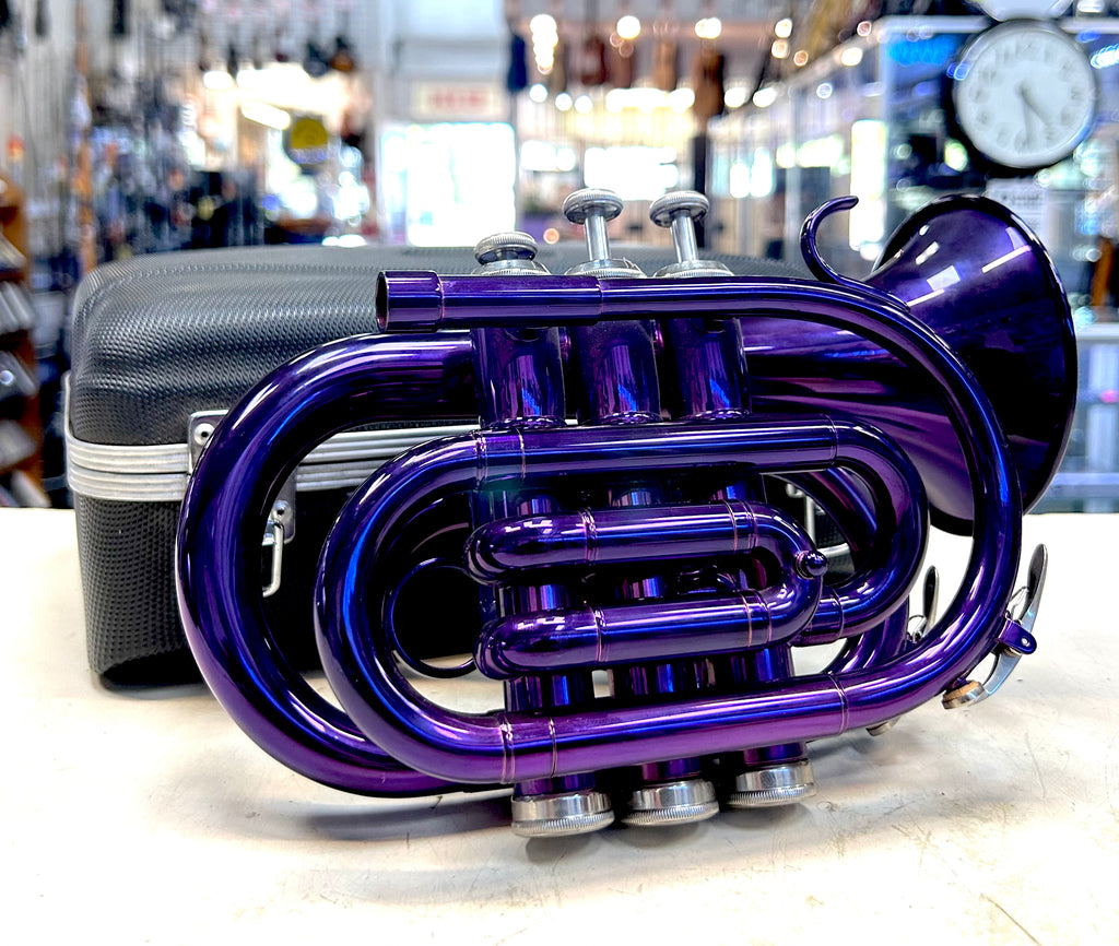 Purple pocket trumpet with case on a blurred store background
