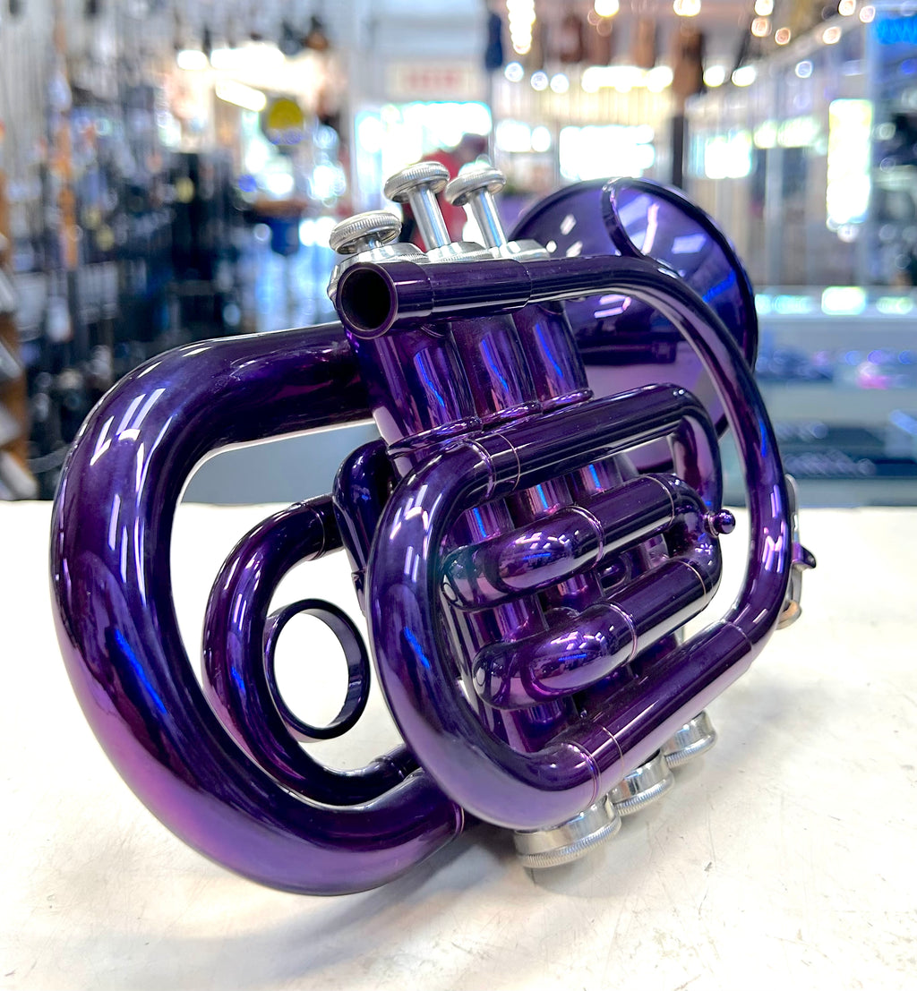 Purple pocket trumpet on a white surface with a blurred indoor background